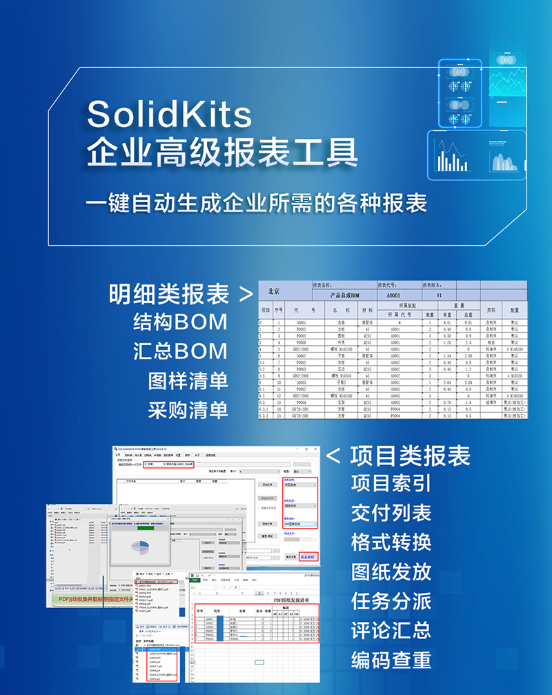 SolidKits企业高级报表工具.jpg